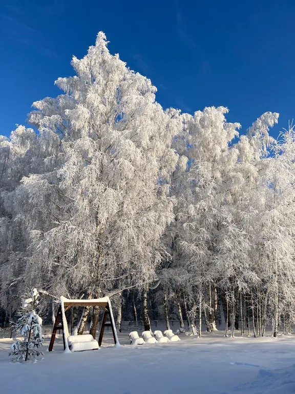 Дом у леса в Капитан Клаб