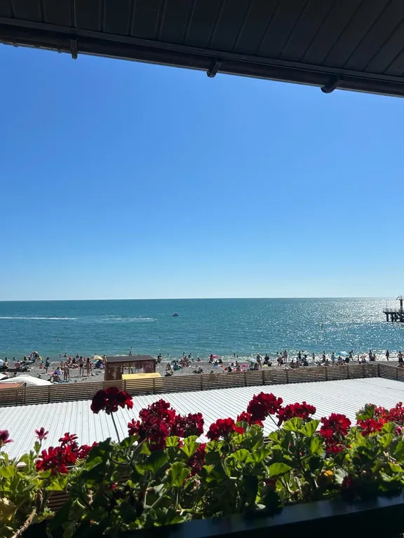 Квартира Апартаменты на Светлане — Сочи