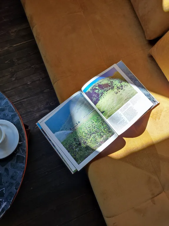 Коттедж Книжный дом с садом под виноградом — Кисловодск