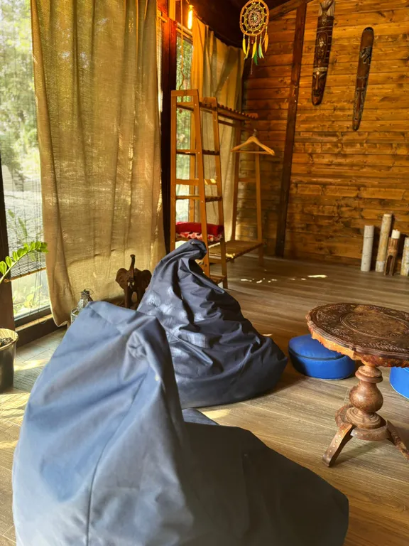 Большой дом