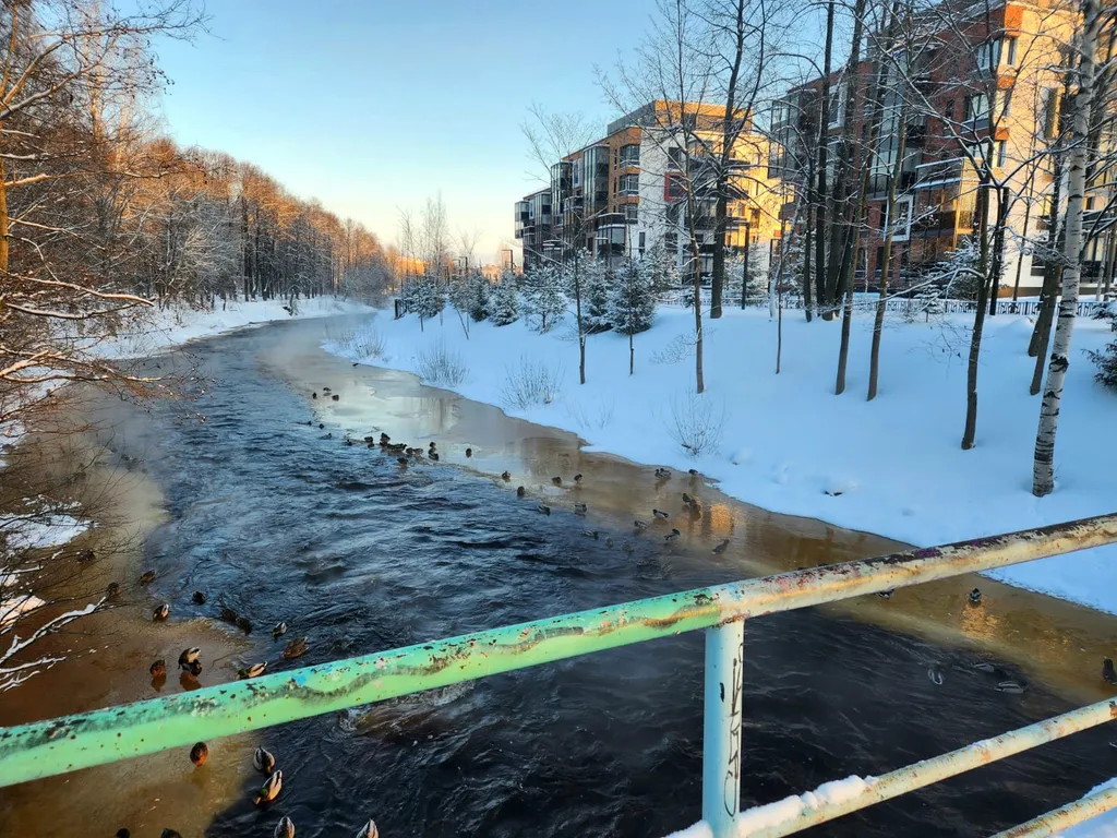 Апартамент в центре в парке на речке