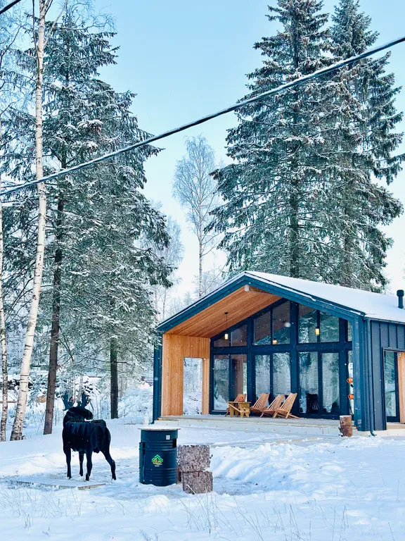 Коттедж Новые зимние дома в 5 минутах от главных горнолыжных курортов — Коробицыно