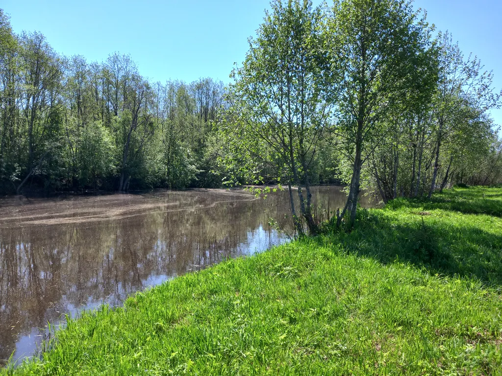 Уютный домик посуточно в тихом месте на Рыбинке