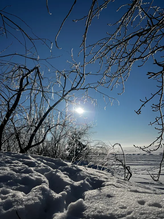 Апартамент на берегу Финского залива, 1 линия, Светлый мир внутри