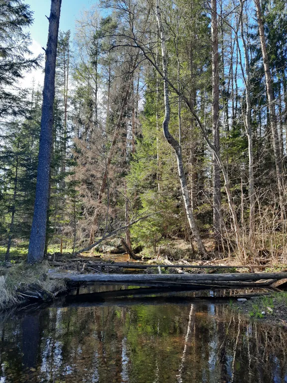 Домик с видом на озеро