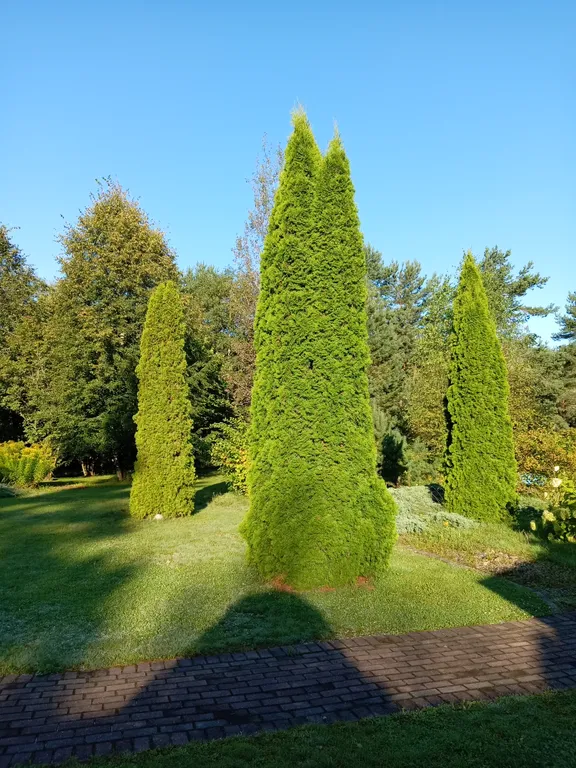 Домик с русской печкой и со всеми удобствами