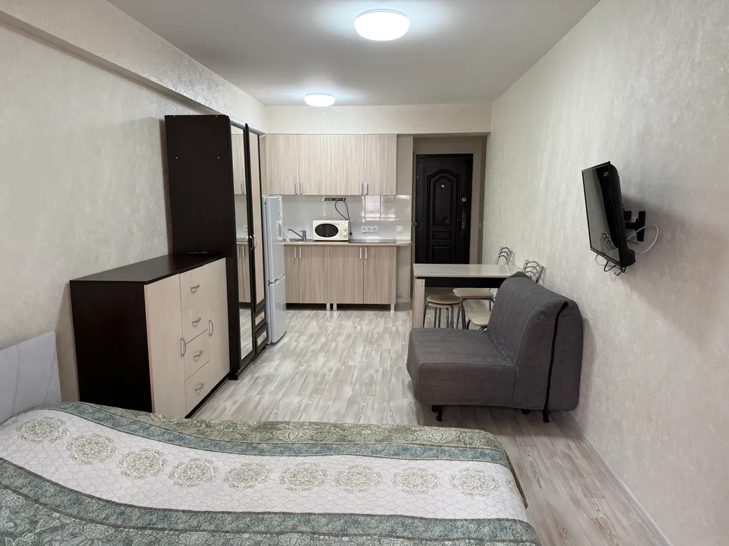 Квартира 1-комнатная Квартира — Сириус