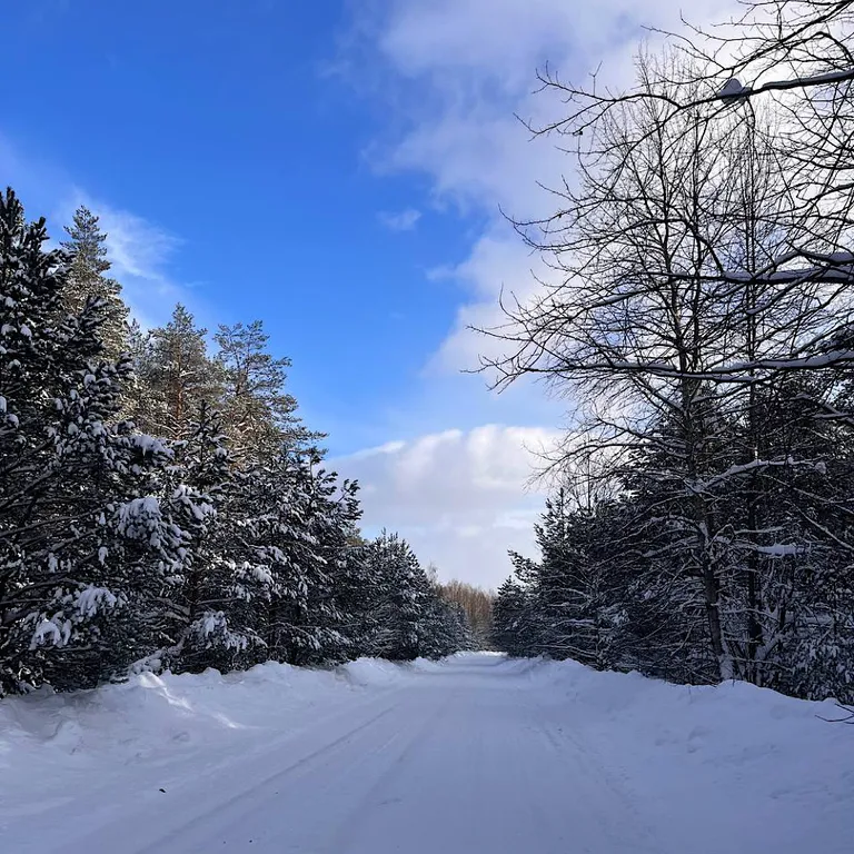 Домик в Соснах с баней и горячими ваннами Cube с баней