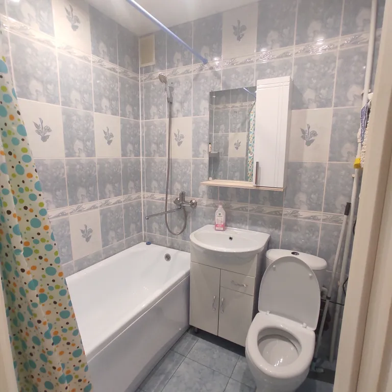 Уютная однокомнатная квартира