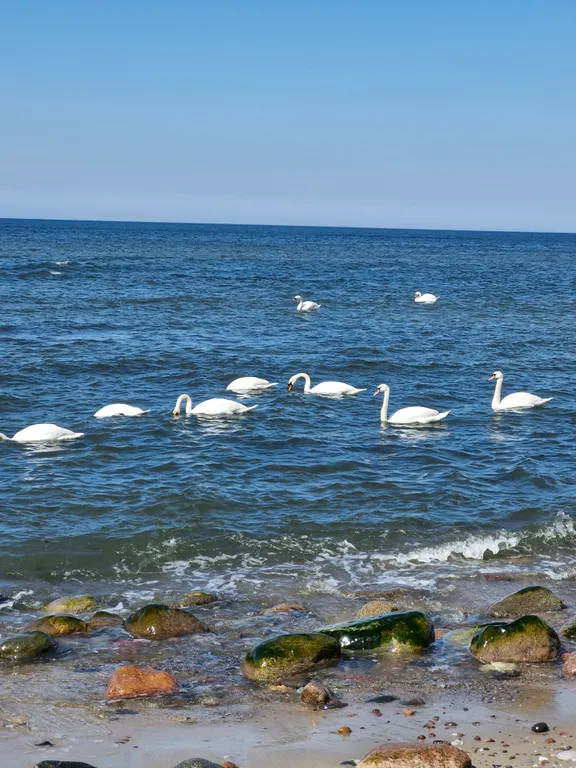 Новая уютная квартира на побережье Балтики