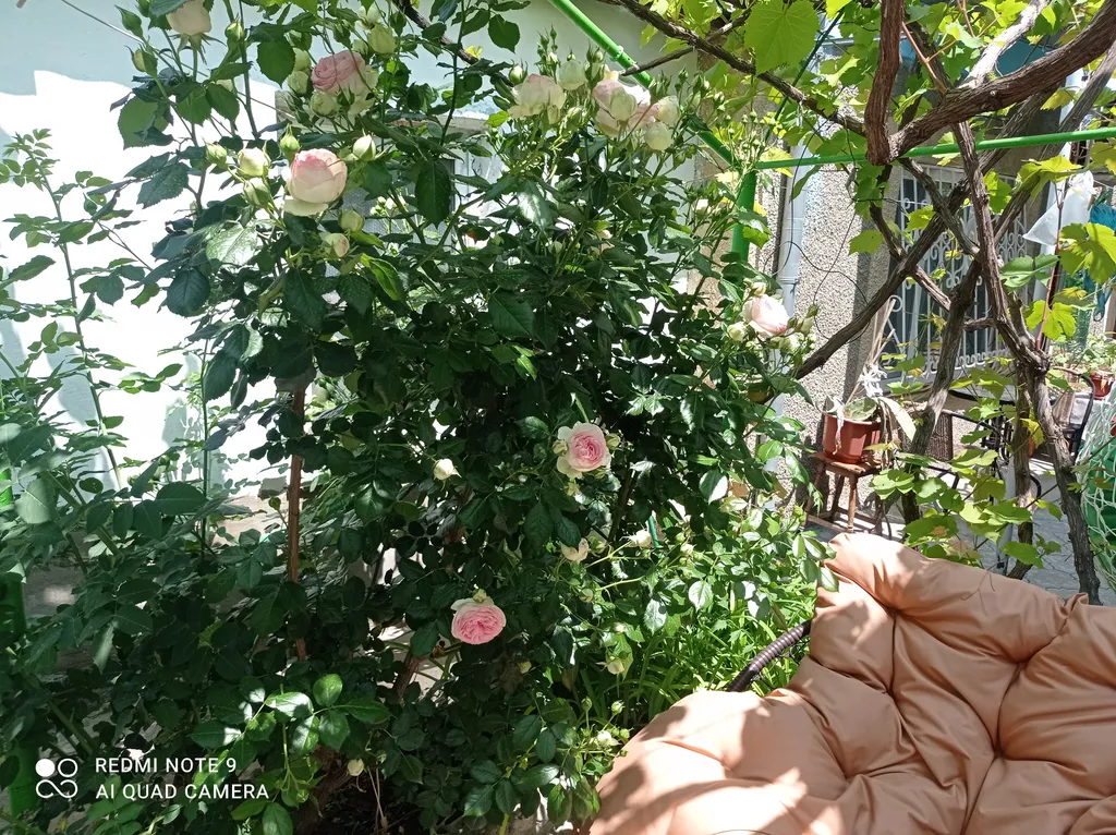 Квартира Уютная комната в частном доме — Заозёрное