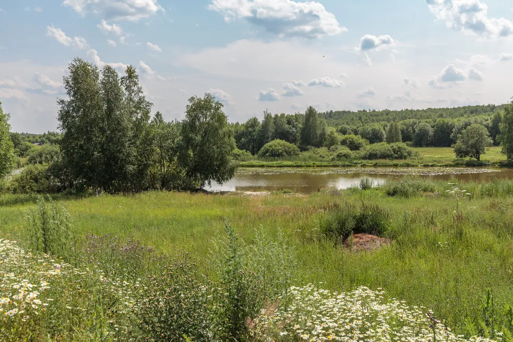 Оригинальный ДубльДом Каштан