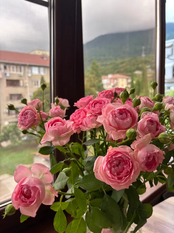 Квартира Уютная квартира на второй линии от моря — Гагра