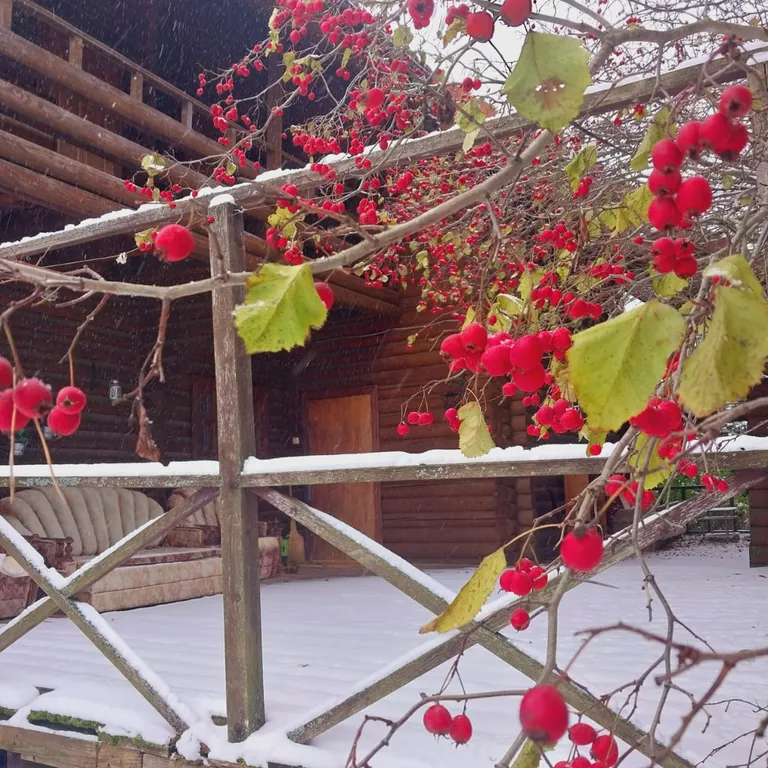 Коттедж Коттедж у озера — Коверьянки