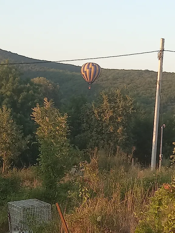 Отдых в уютном, уединенном домике на 6 сотках.