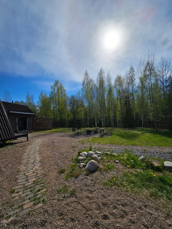 Дом-шалаш(один) с видом на лес