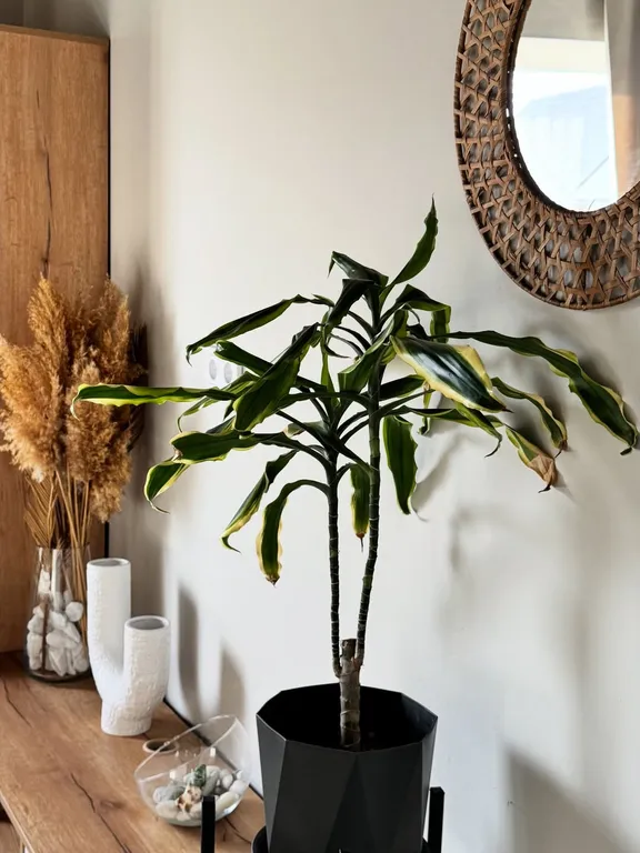 Дом Полинезия