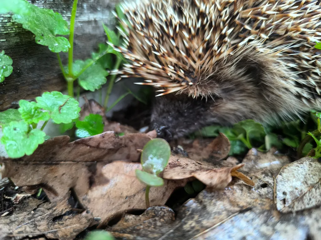 Дом на берегу с видом на Селигер