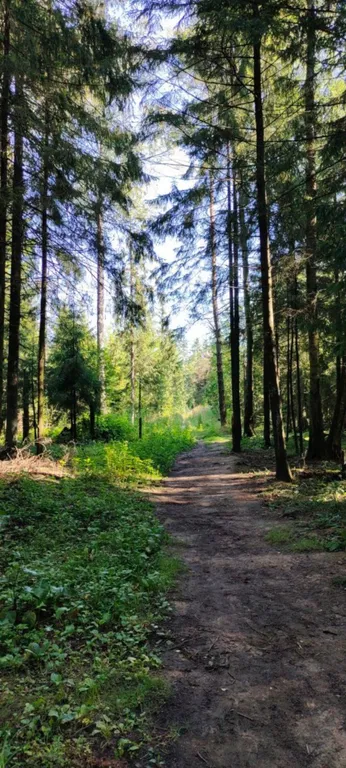 Студия в ЖК Серебрица