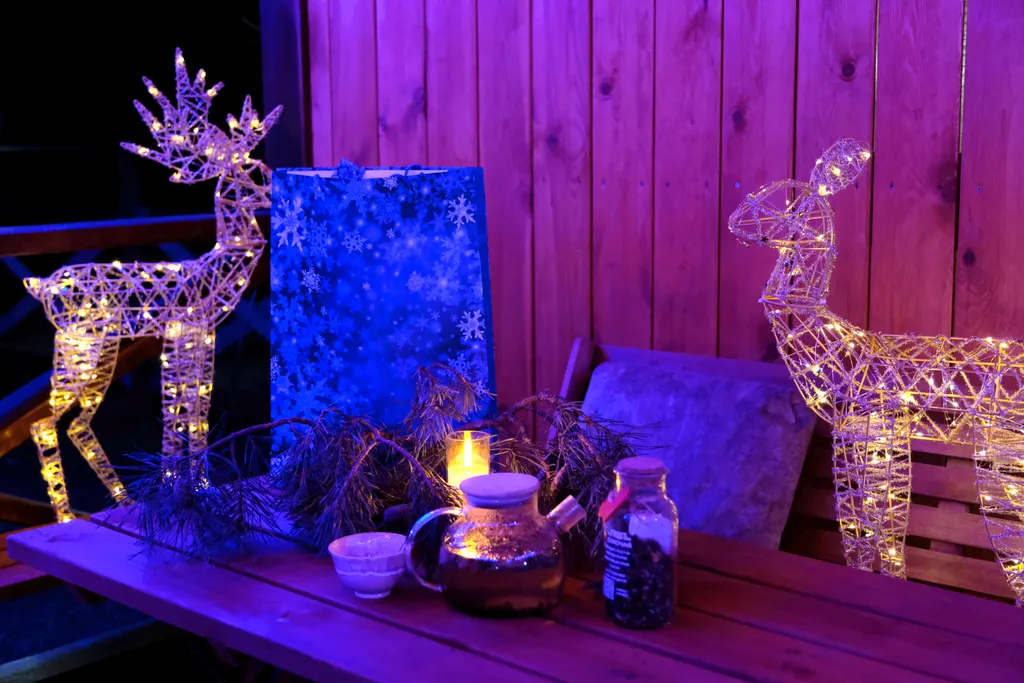 Апарт Афрейм в Чемальской долине