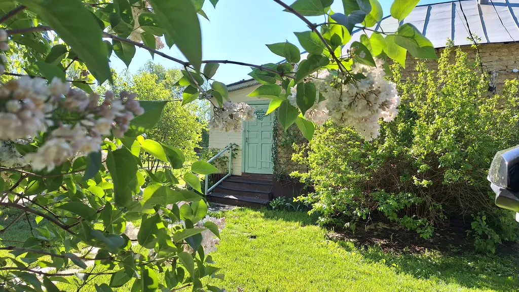 Дом в деревне на Дону в сосновом лесу
