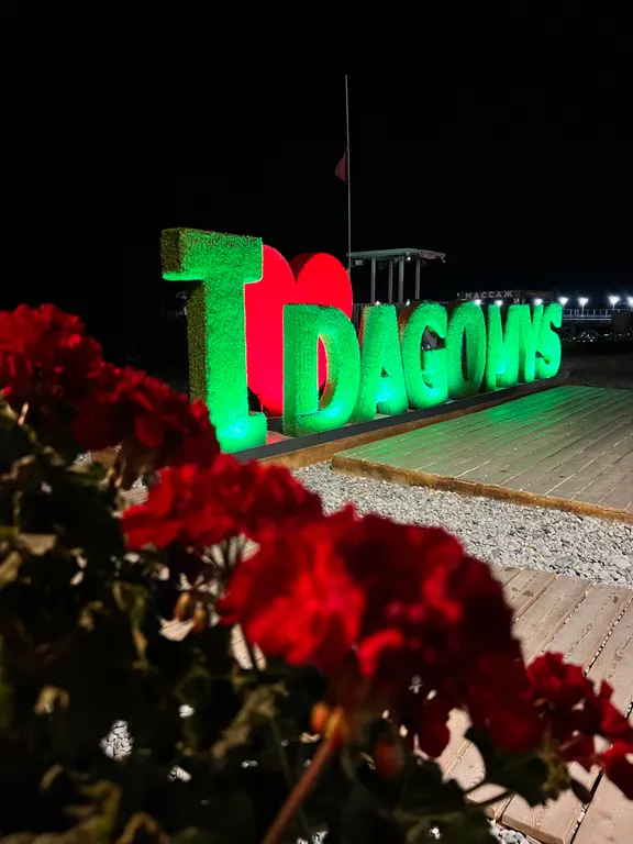 Дизайнерская студия у моря