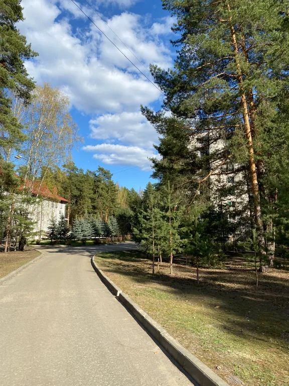 Прекрасная квартира в центре соснового бора