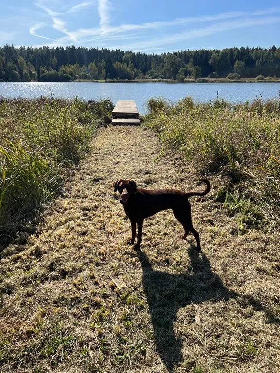 Дом с баней на берегу озера