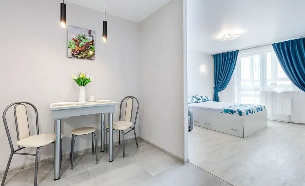 Апартаменты Квартиркаплаза у Самарских терм, проекционный экран