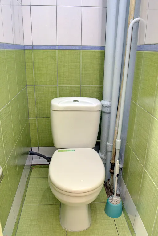 Двухкомнатная квартира у парка Сосновка