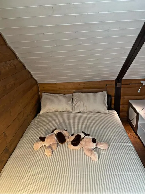 Holidayspahouse - уютный дом с сауной и купелью в Подмосковье