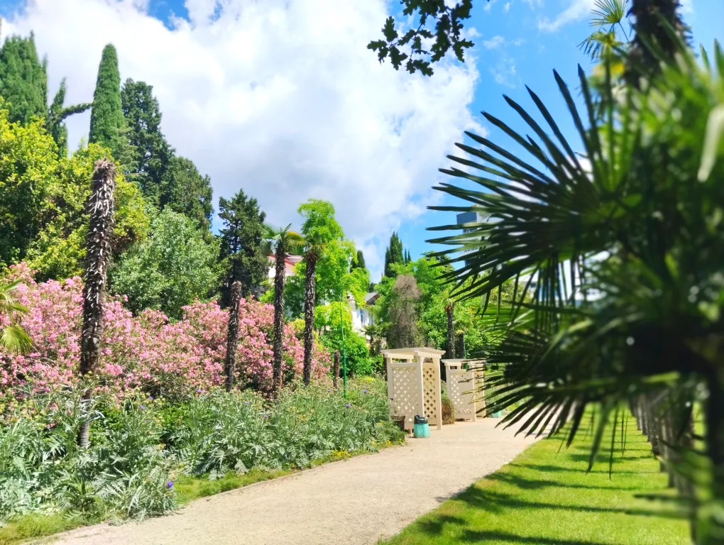 Студия для Вас, в живописном поселке Кореиз (Мисхор)