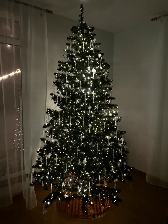 Новый дом в лесу