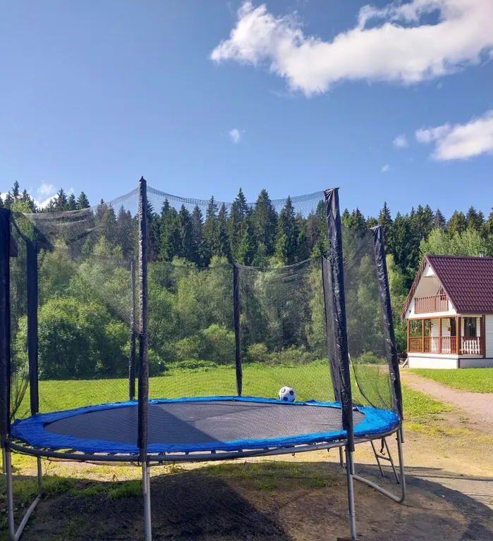 Дом-баня с видом на лес