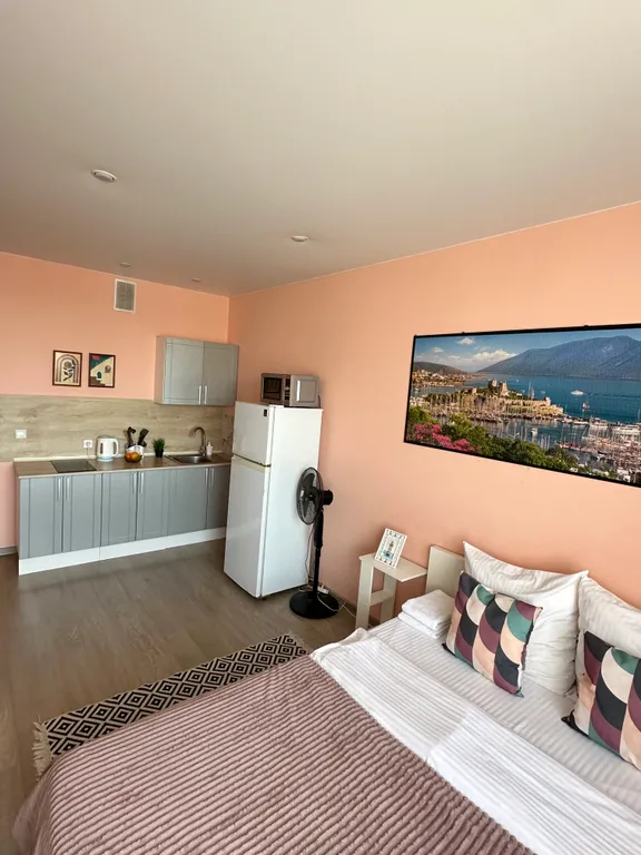 Уютная, стильная квартира четырехместная - у Клиники зрения