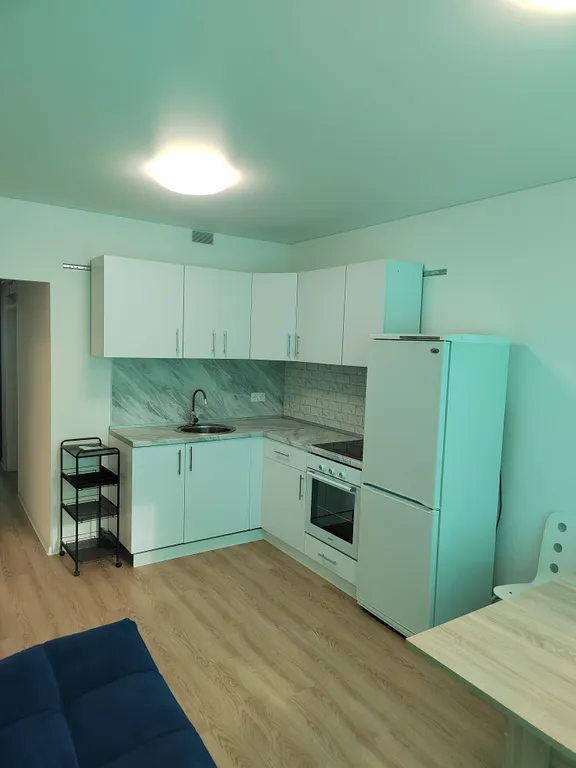 Квартира с видом на лес — аренда посуточно в Анкудиновка