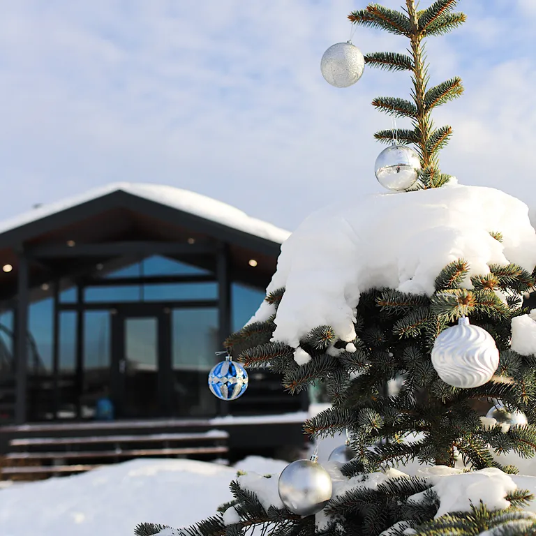 Домик в Икше с камином (Lato-65 Plus)