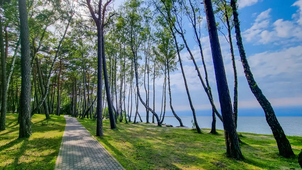 Квартира Квартира Студия 2 у Соснового бора — Пионерский