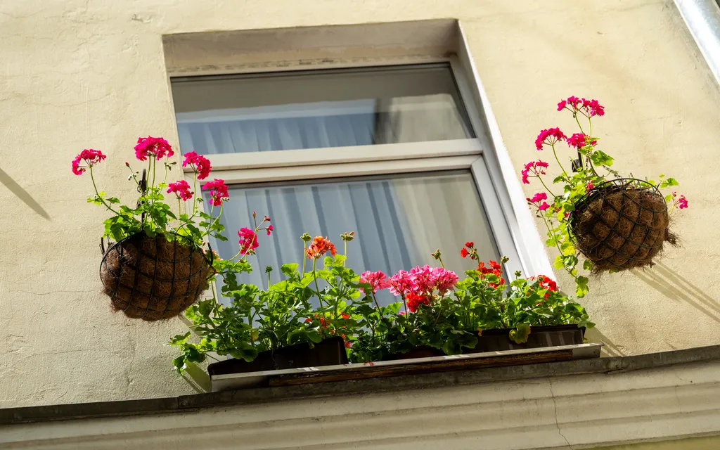 Квартира Уютная квартира — Калининград