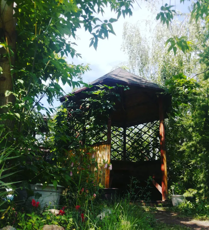 Домик на озере Шира