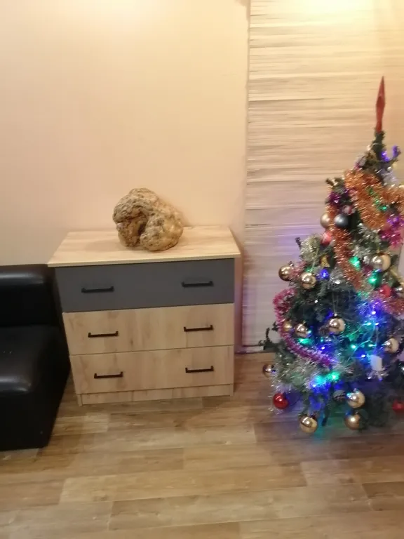 Квартира на Красной