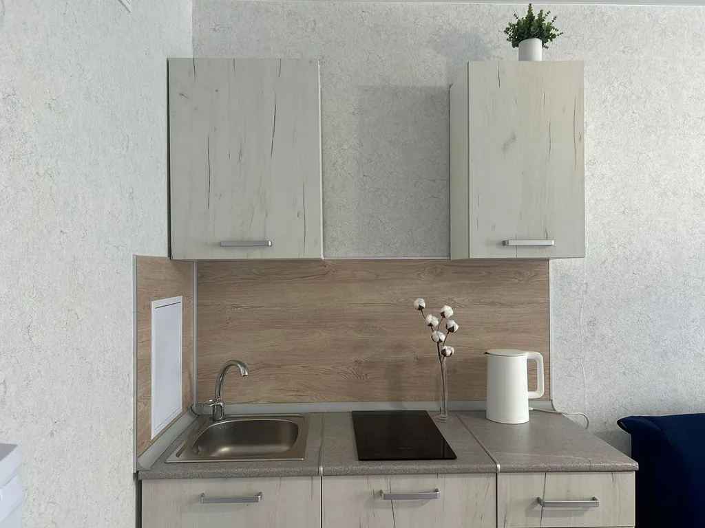 Комфортабельная, уютная студия