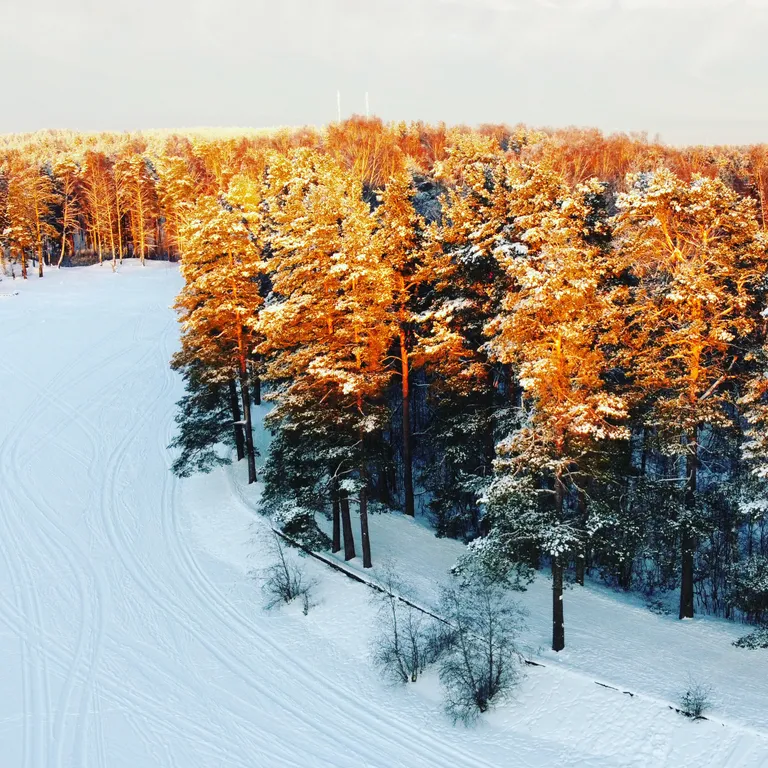 Коттедж на на берегу озера с банями и купелью