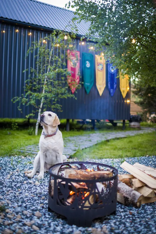 Дом Пуффендуй (чан входит в стоимость)