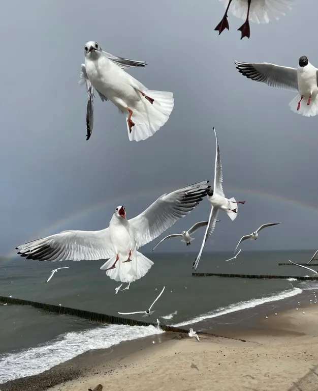 Квартира Квартира Прекрасный старый дом — Калининград