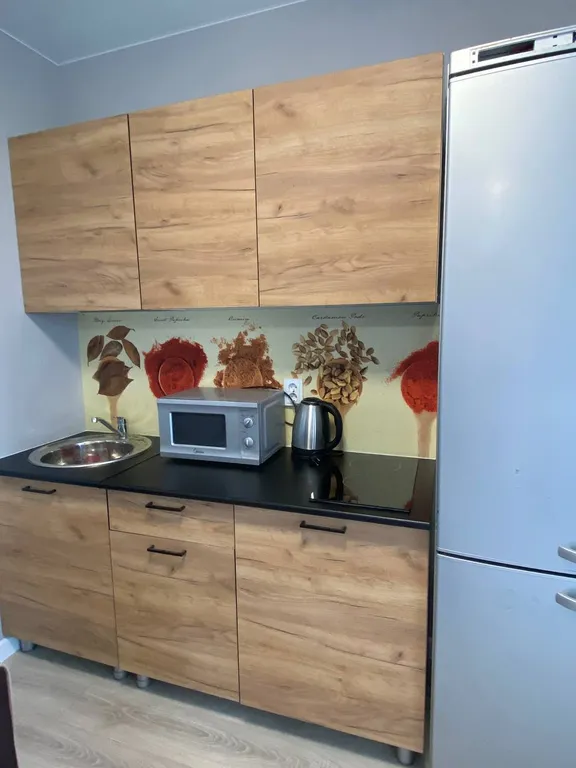 Студия у набeрежной в самoм центpе