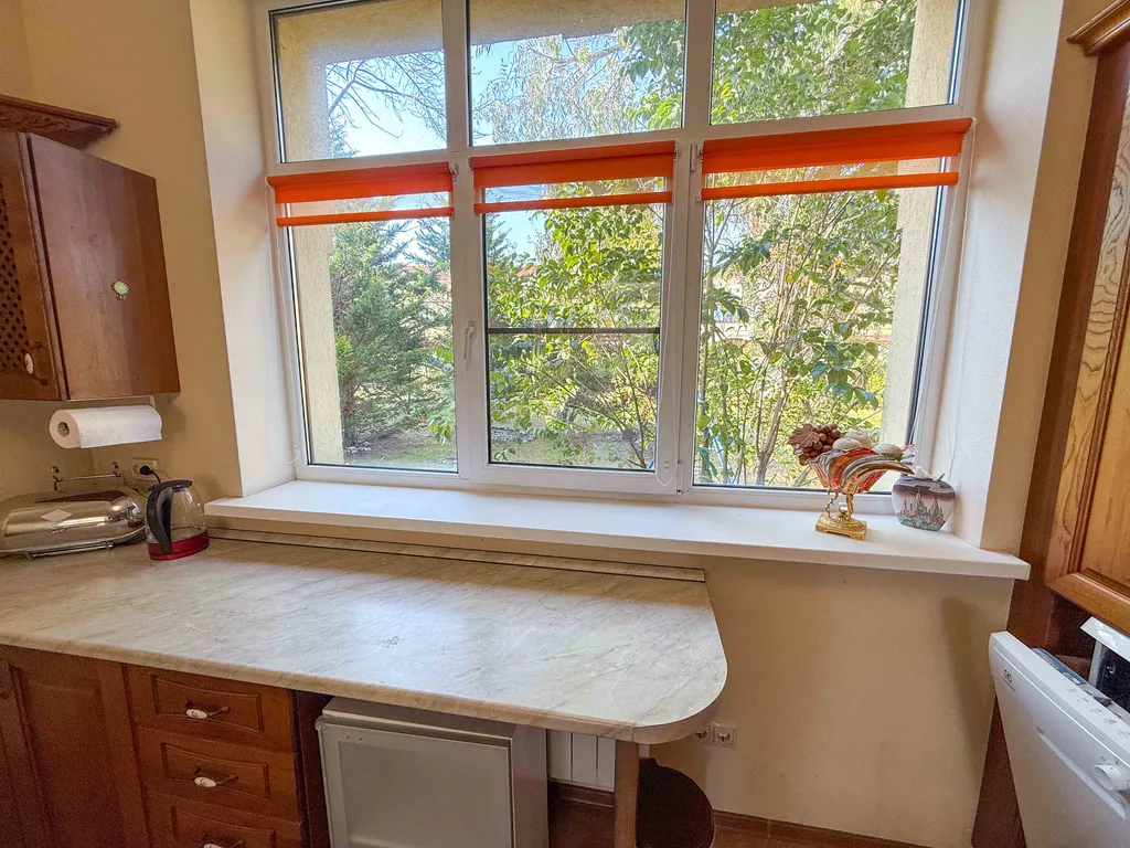 Орхидея парк Альфагид