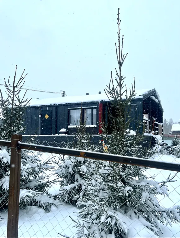 Современный дом с баней в лесу