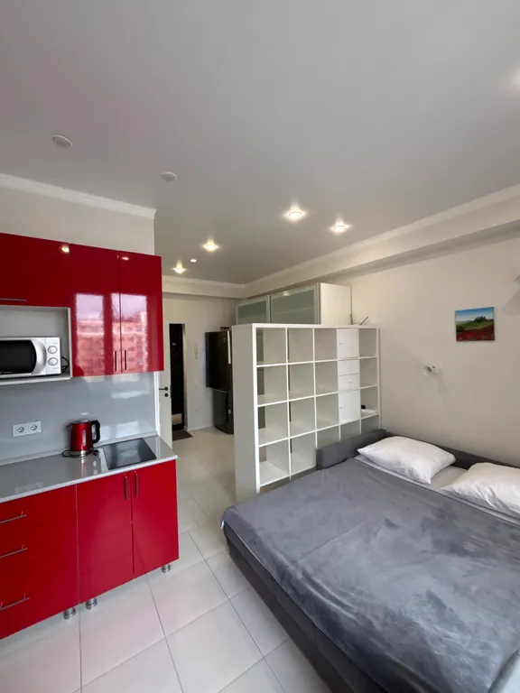 Новая студия с дизайнерскими ремонтом