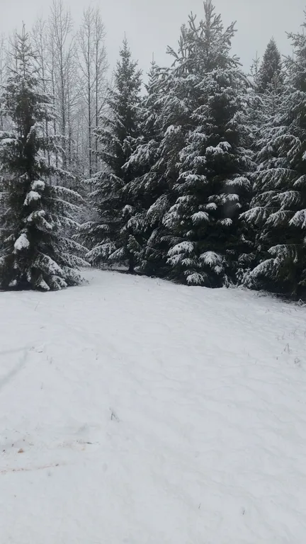 Терем Морозко